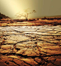 干旱的大地上的树木，干旱的大地，大地的伤痕，旱季，干裂的大地，干旱的土地，采集于Macdown.com预览图，超清原图请到Macdown下载。