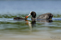 Coot feeding its young by linneaphoto