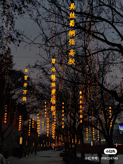 穿马丁靴的喵采集到PB-夜景灯光（景观）