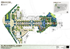 淡淡的蝴蝶兰采集到园林景观