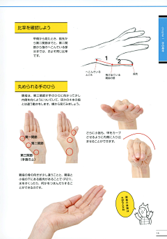 大骨熬汤就是香采集到【原画·结构】·手部