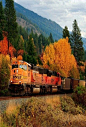 Train in Autumn.