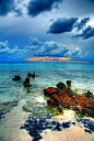 视觉日刊：世界商业中心开曼群岛的美丽风情。