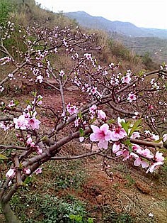 龙泉旅游