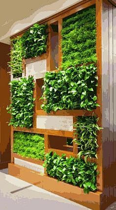 vertical garden idea...