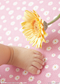 婴儿宝宝的小脚和鲜花