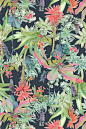 prints // #tropical #textile: 