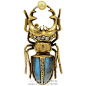 受古埃及文化的影响，甲虫也经常出现在现代珠宝的里面，TIFFANY等一些大牌就设计过一些甲虫的胸针，虽然说我不是很喜欢这种昆虫，但是感觉设计成珠宝还是挺好看的