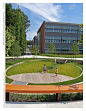 Manassas Park Elementary School • Siteworks, Charlottesville, VA • 2011 ASLA Professional Honor Award • Bioretention Garden with Black Locust Bench Wall