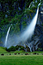 风吹落，新西兰
Wind Blown Falls, New Zealand