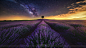 Jesús M. García ©在 500px 上的照片The Lavender Field and Milky Way