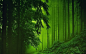 绿色清新养眼自然风景图片电脑桌面壁纸
 2560x1600