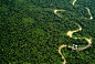 Aerial view of the Yavari Miri River and the Amazon Rainforest, Peru._创意图片