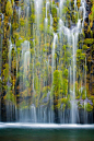 Mossbrae Falls, California