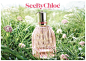 ::.UrCosme.::[新品] See by Chloe Eau Fraiche 女性淡香水 剛從百花盛開的巴黎 現摘的新鮮花朵 | Chloé 美妝新聞 | 2014年3月20日