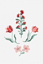10个免费的花卉刺绣图样/模板/纸样（附件中下载） - 手工客，diy手工制作教程频道