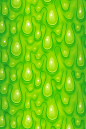 green | Matérials & Textures 2D/3D