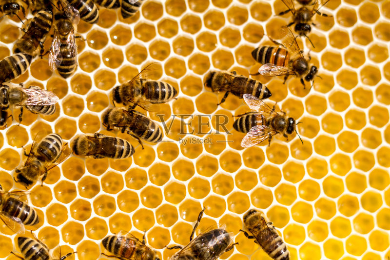 8a4c706067d53755361dcc1c6162dadcbea36c6533ed3-AM9ImN