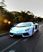 Aventador
#超跑#