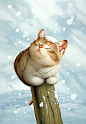 snow cat - Makoto Muramatsu
