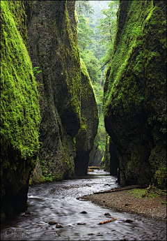 gling采集到景