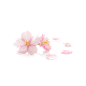 樱花 花瓣 透明图 PNG