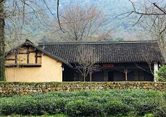 橘子cola采集到乡村