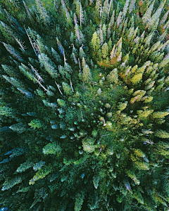 OK大耳朵涂涂采集到风景