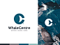 WhaleCentre ocean app whale design drawing identity branding logo icon