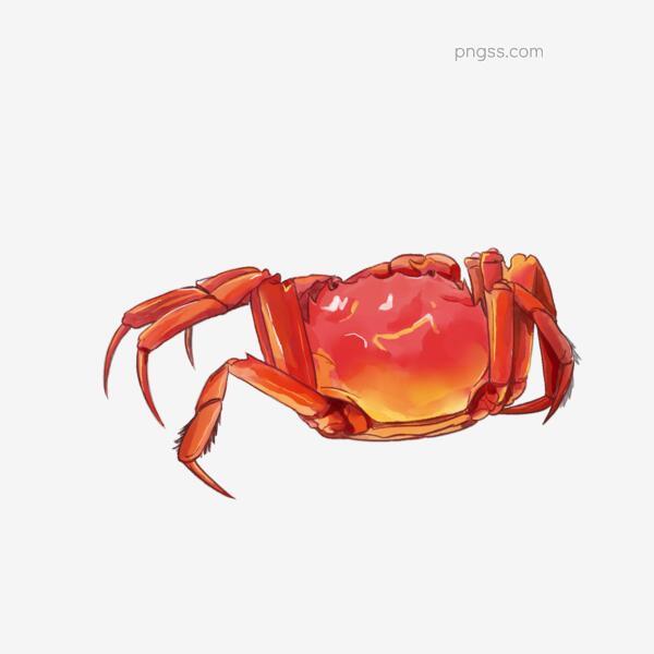 8a9d5c371fb8c049acffa5801be45a78040e1393515d-P8zCxf