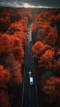 MONKEY_Aerial_photographySuper_fast_drivingCars_driving_in_the__46a9a016-681a-4f7b-a3d5-734a94c78145