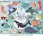 Sea Life Vector Ocean Animals Volume 2