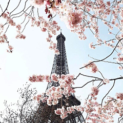 LOREAL__PARIS采集到Paris City