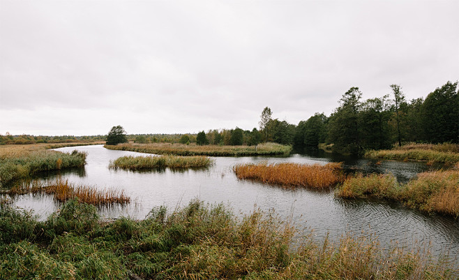 Nature reserve site ...