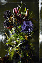 Azuma Makoto 花卉艺术装置展览「Iced Flowers」--设计·中国