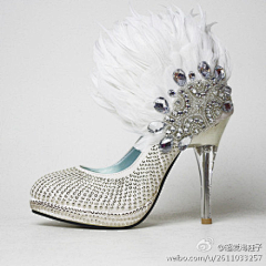 木鱼泡泡采集到公主的水晶鞋