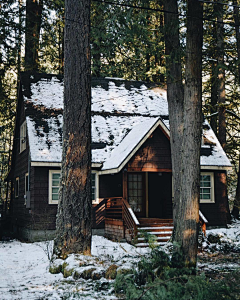 纱蓝采集到林间小屋