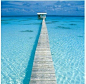 【大溪地（Tahiti）】一个可以与马尔代夫媲美的地方， 梦的尽头的尽头——总是在不断的行走，停下来歇一歇