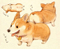 Corgi drawing ★ || CHARACTER DESIGN REFERENCES | キャラクターデザイン  •