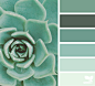 { succulent hues } image via: @thebungalow22