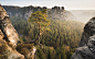 General 2560x1600 nature landscape mountains rock trees forest mist roots branch pine trees