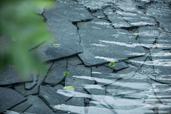 momokoo采集到【景观设计】/水景