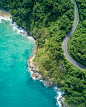 A curved road surrounded by forest land near blue oceanic water.