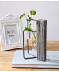创意简约玻璃试管花瓶摆件木质铁艺花架水培容器盆栽绿植软装饰品-淘宝网