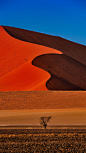 苏丝斯黎红色沙漠，沙漠和沙丘呈罕见的红色，每一座沙丘的形态都有所不同，是纳米布沙漠公园的著名景点。©壹刻传媒