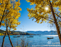 秋天的泸沽湖透出她的秀美和宁静。 泸沽湖最美的秋色都在四川境内，其中盐源县泸沽湖镇的赵家湾（女神湾）、达组村、格桑古村是最佳观赏点。