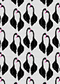 Black Swans Pattern | Flickr: Intercambio de fotos