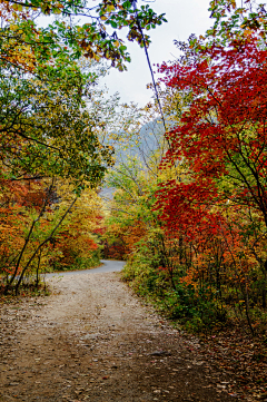 晴蓝2采集到唯美风景