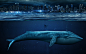ocean diver whales city lights artwork city skyline split-view - Wallpaper (#2945835) / Wallbase.cc