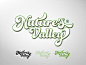 Logo & Packaging Nature's Valley on Behance